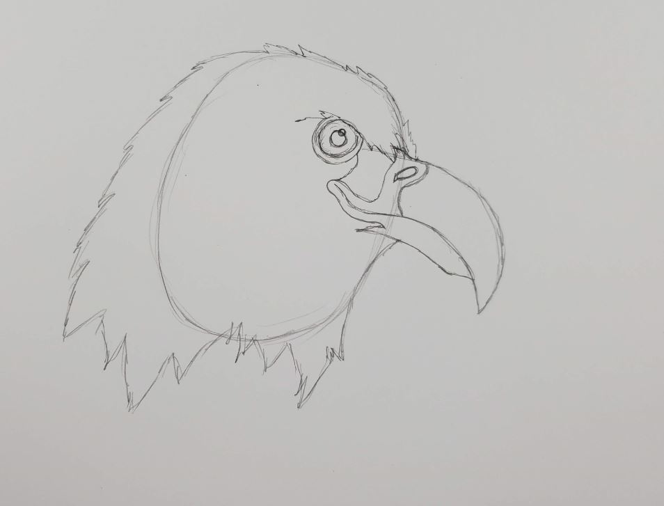 How-To-Draw-An-Eagle-Eye-Detail2