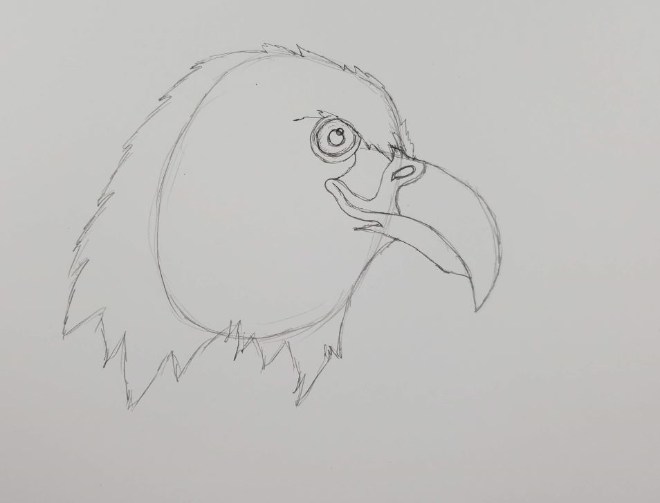 how to draw an eagle eye