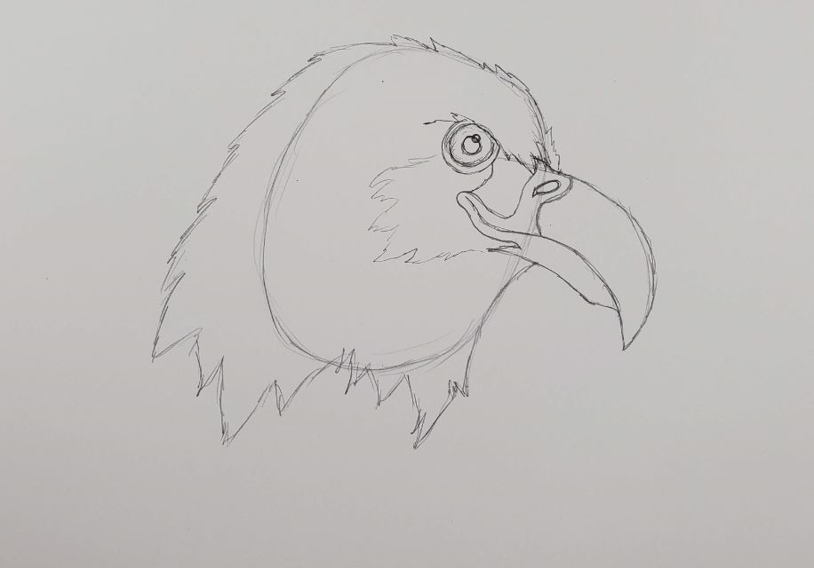 how to draw an eagle eye