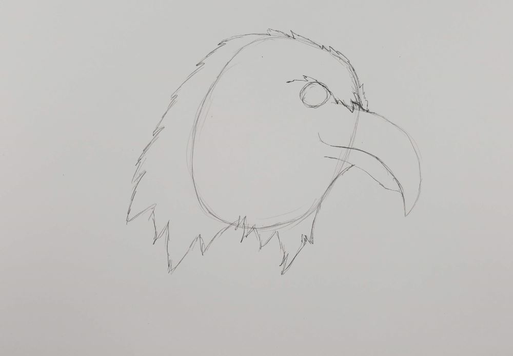 How-To-Draw-An-Eagle-Feather-Rough-Eye