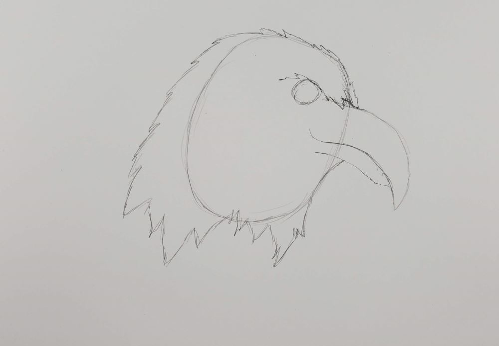 how to draw a eagle step by step easy