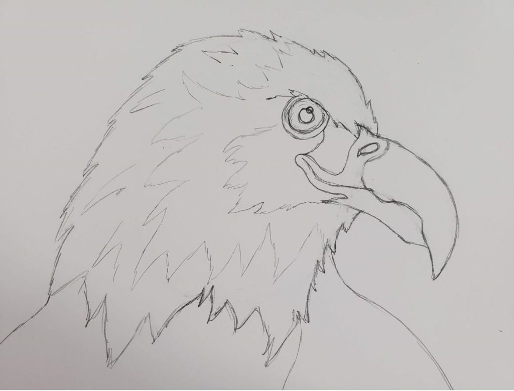 Easy Eagle Head Drawing Step by Step - Art by Ro