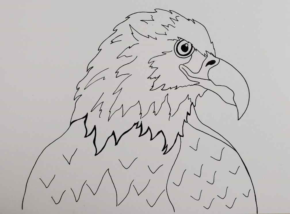 How To Draw An Eagle Outline Thickened