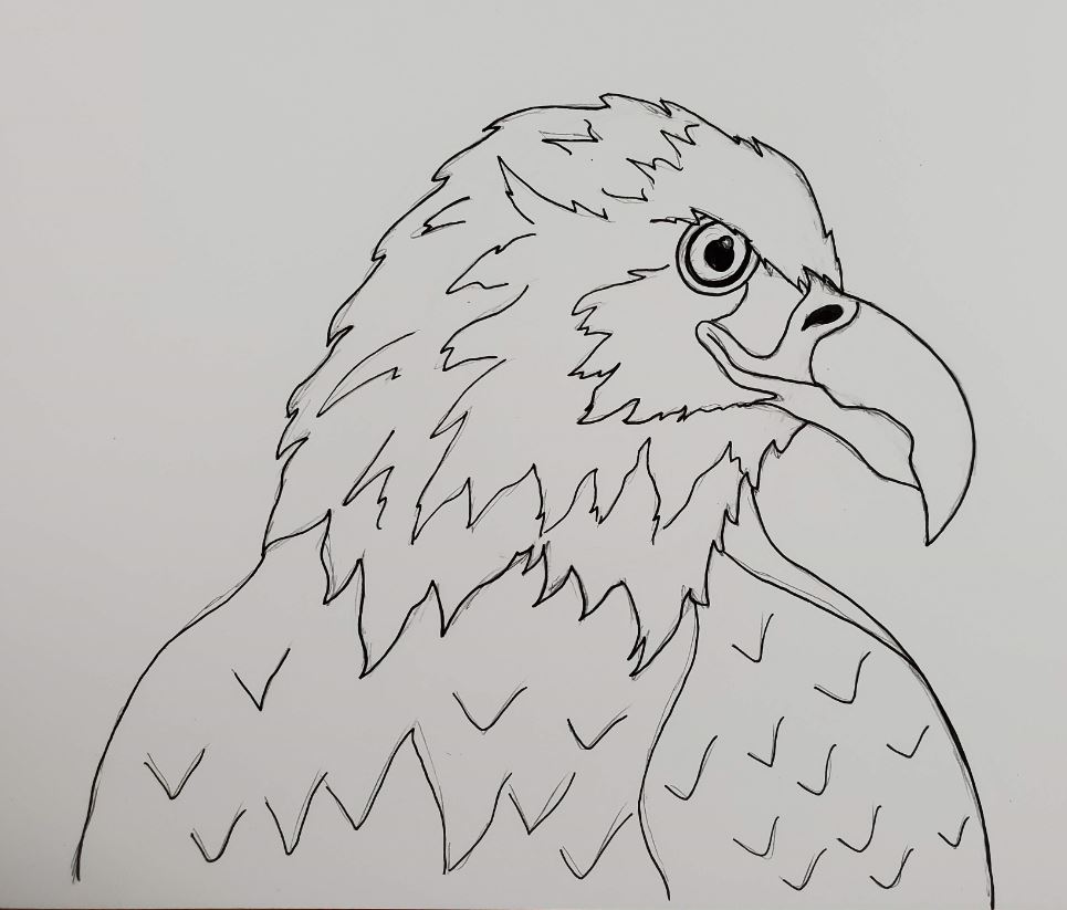 simple eagle head drawings