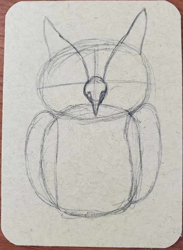 How-To-Draw-An-Owl-Ears2
