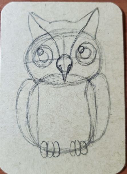 how to draw an owl