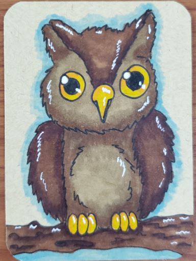 How-To-Draw-An-Owl-with-Markers