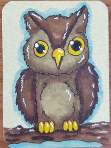 How-To-Draw-An-Owl-Finished