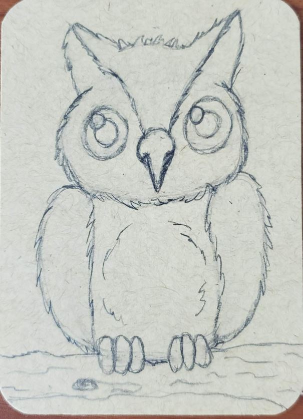 How-To-Draw-An-Owl-Step-by-Step