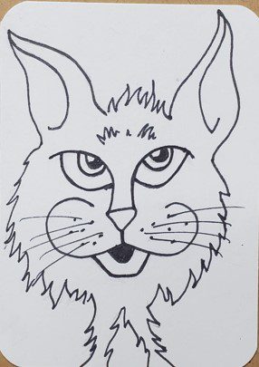 Cartoon-Cat-Outline