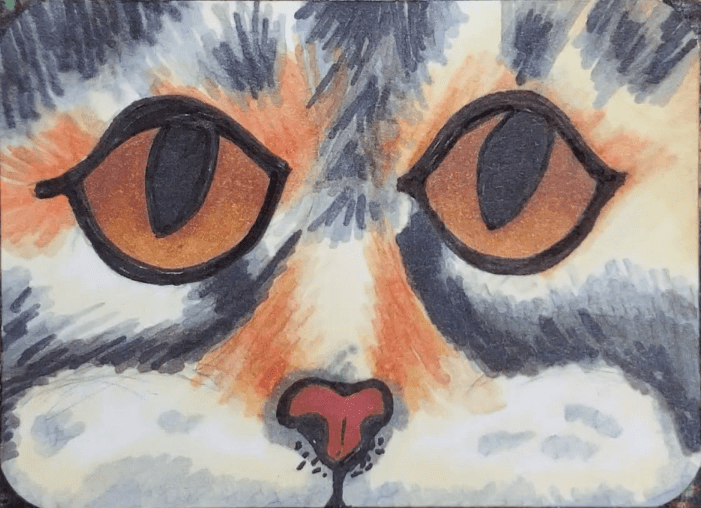 Cat-Eyes-Drawing-Tutorial-Fur-Texture