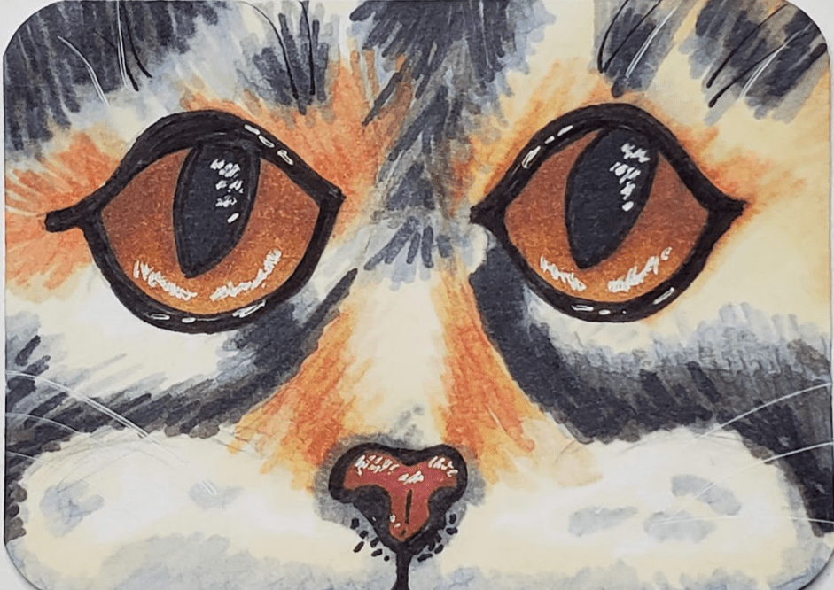 Cat-Eyes-Drawing-Tutorial