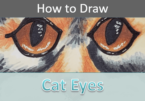 Cat Eyes Drawing Tutorial (step by step)