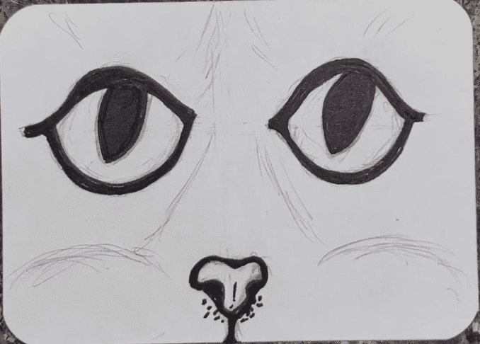 Cat-Eyes-Outline