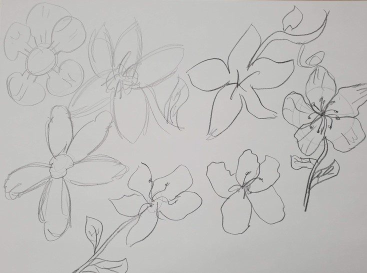 Cherry-Blossom-Flower-Sketch