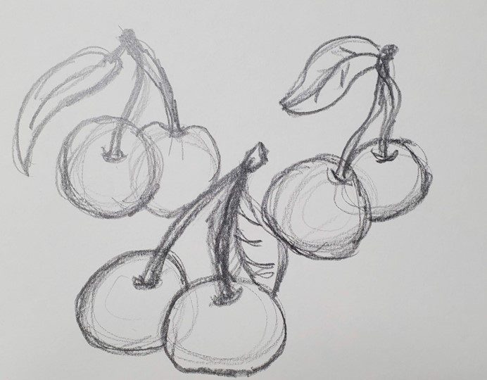 Cherry-Sketch