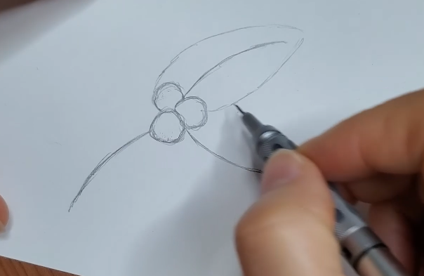 Christmas-Holly-Drawing-Shape