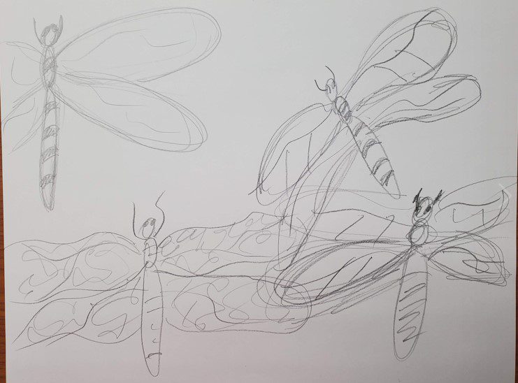 Dragonfly-Sketch
