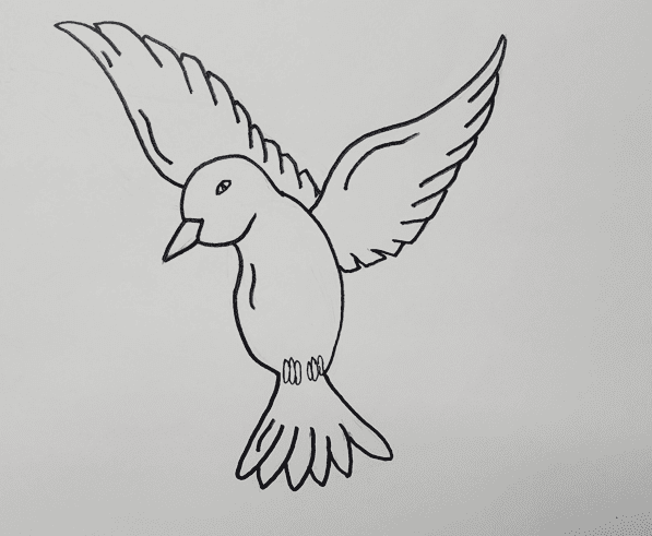 Easy-Dove-Outline-Drawing