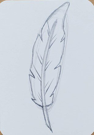Drawing what your drawn to. {feathers}