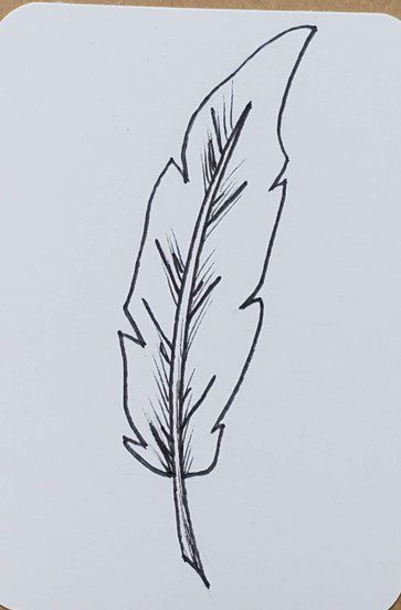 feather outline