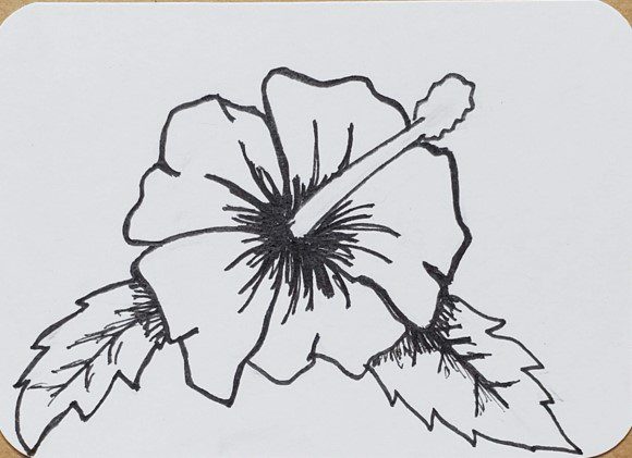Hand Drawn Hibiscus Flowers With Leaves Isolated On White Background. Pencil  Drawing Monochrome Elegant Floral Composition In Vintage Style, T-shirt,  Tattoo Design. Stock Photo, Picture and Royalty Free Image. Image 126430791.