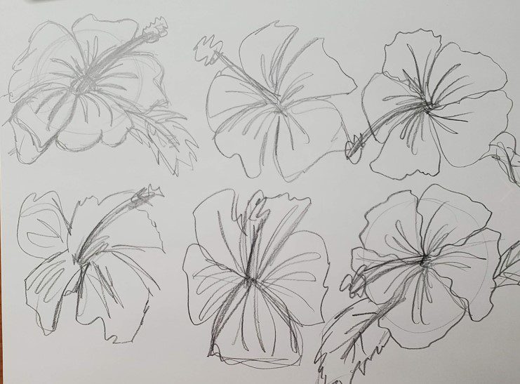 How to Draw a Hibiscus Flower Drawing Tutorial - Art by Ro