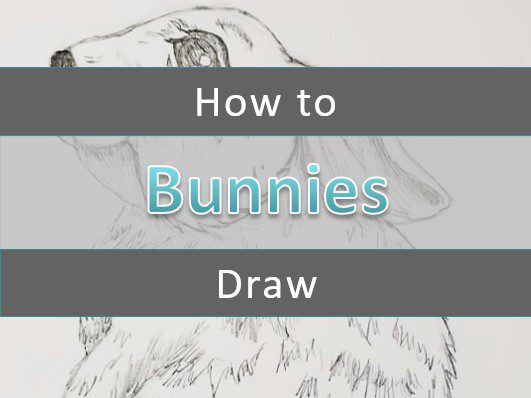 How-To-Draw-A-Bunny