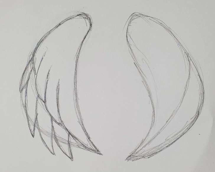 simple drawings of wings