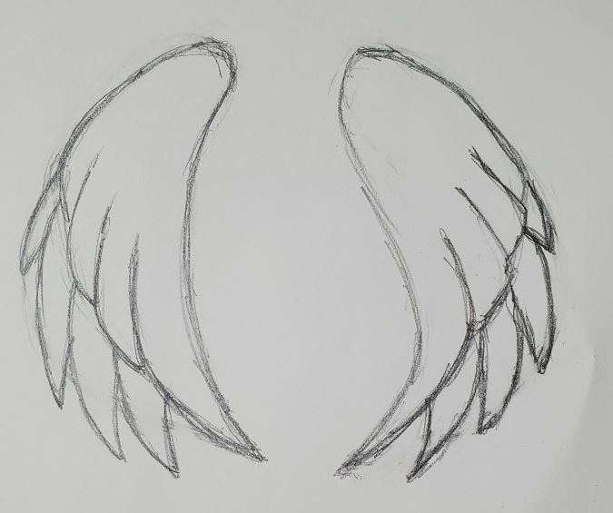 detailed angel wings drawing