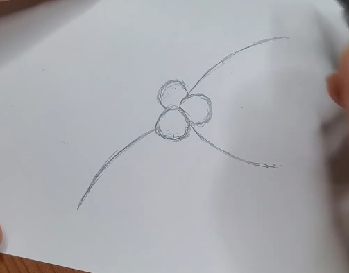 How-to-Draw-Holly-Leaves-Basic-Shapes