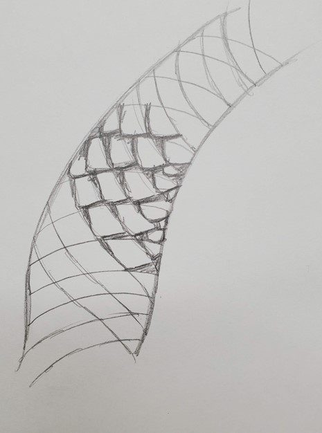 snake scales