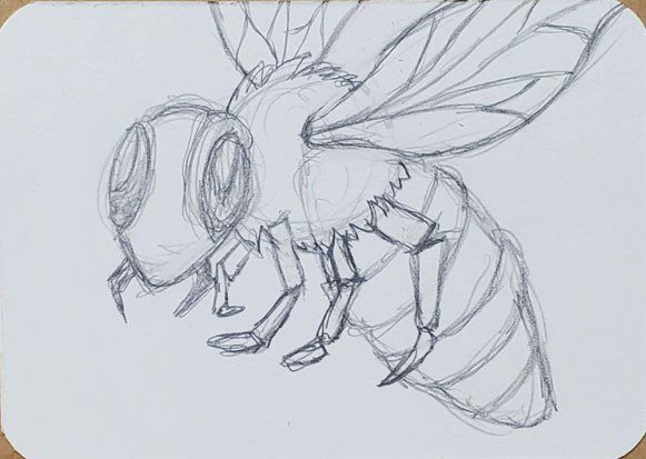 How-to-Draw-a-Bee-Step-by-Step