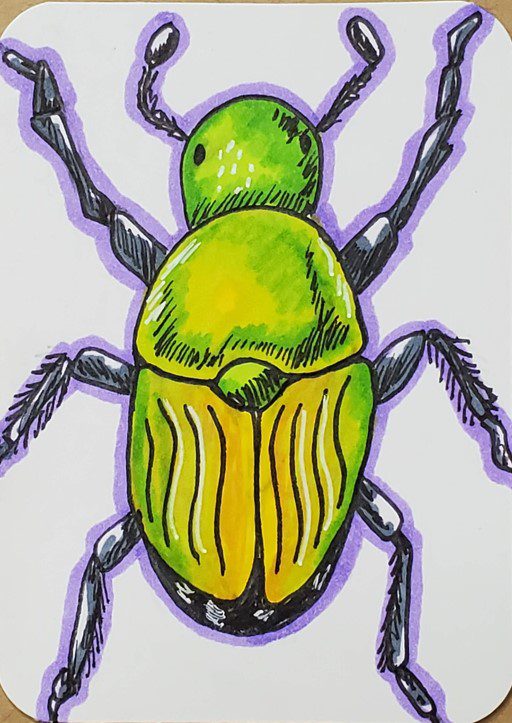 How-to-Draw-a-Beetle-with-Markers