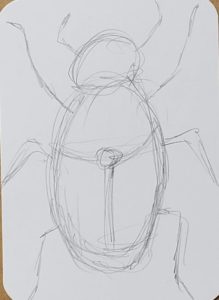 How To Draw A Beetle - Art By Ro