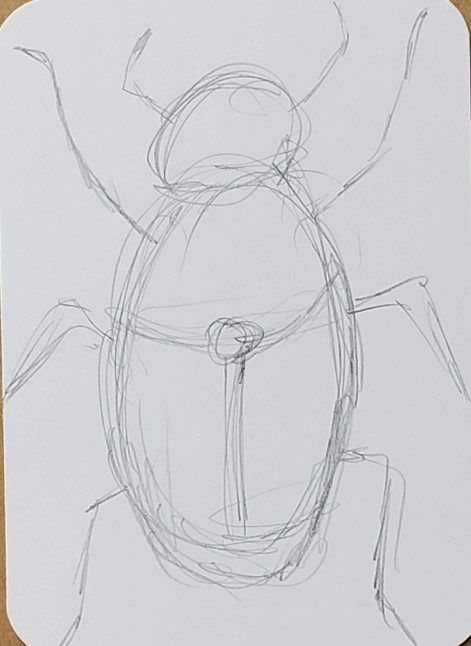 How-to-Draw-a-Beetle-with-Shapes