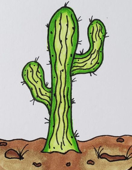 pencil drawing cactus