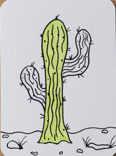 Easy How to Draw Cactus Tutorial and Cactus Coloring Page | Art drawings  for kids, Easy drawings for kids, Kids art projects