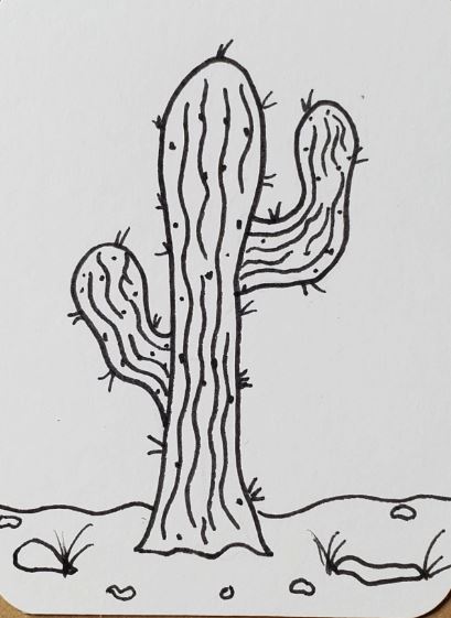 Cactus-Outline