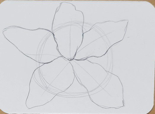 How-to-Draw-a-Cherry-Blossom-Flower-Petals