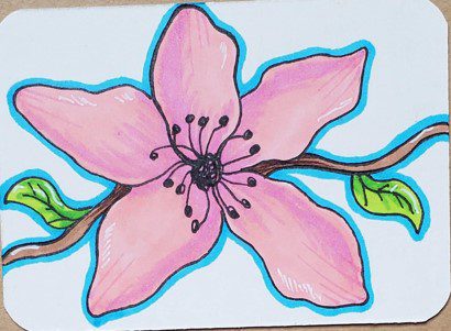 How-to-Draw-a-Cherry-Blossom-Flower-with-Markers