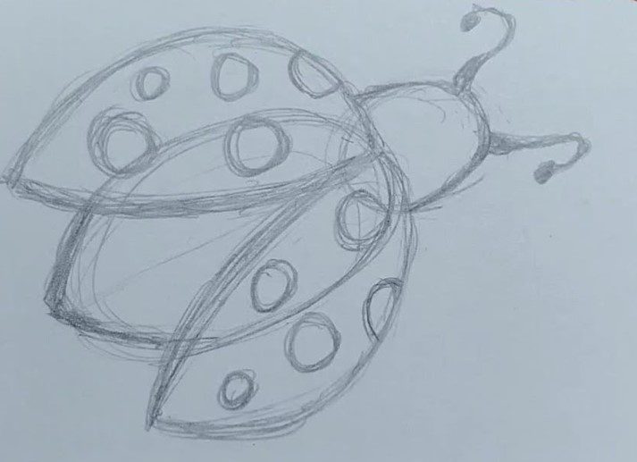 How-to-Draw-a-Ladybug-Step-by-Step
