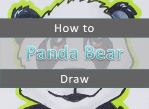 How to Draw a Panda Cute & Easy - Art by Ro