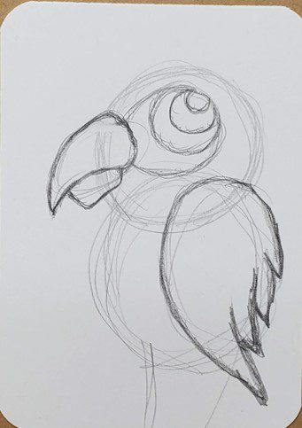 How-to-Draw-a-Parrot-Eye