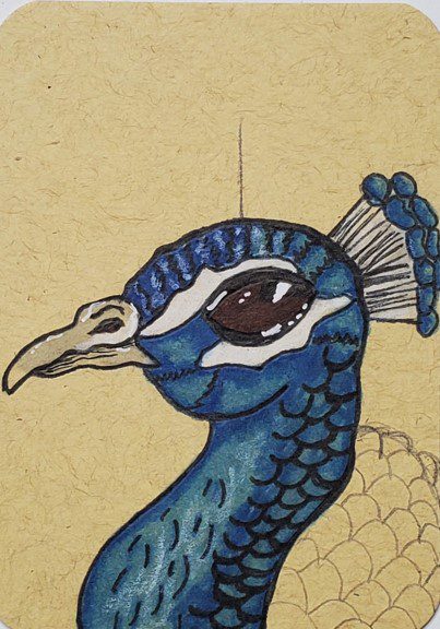 Easy and simple Peacock drawing - YouTube