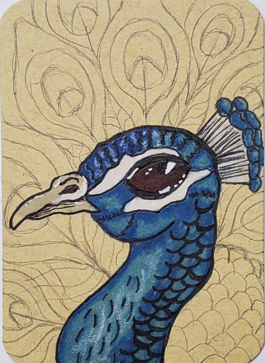 Amazon.com: 3dRose db_113188_1 Vintage Peacock Art-Blue and Green Bird on  Branch Beautiful Tail Feathers-White-Drawing Book, 8 by 8-Inch : Arts,  Crafts & Sewing