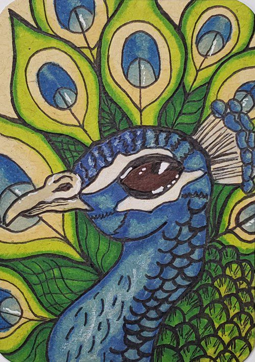 Peacock drawing book. : Choudhary, Hiran: Amazon.in: Books