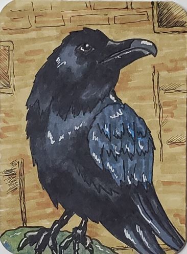 How-to-Draw-a-Raven-Color-with-Markers