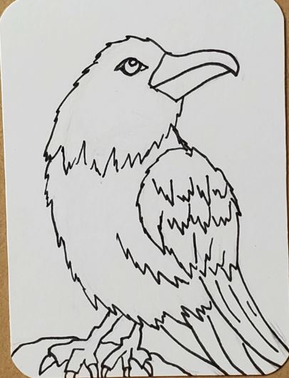 Raven-Outline