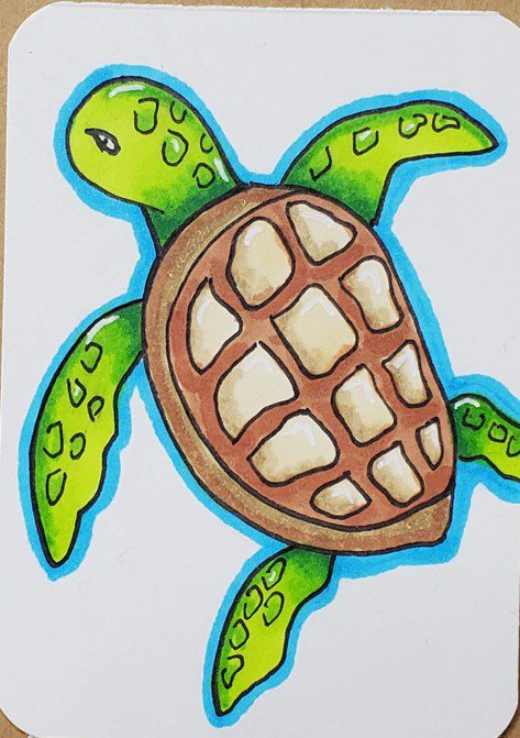 how to draw a simple sea turtle